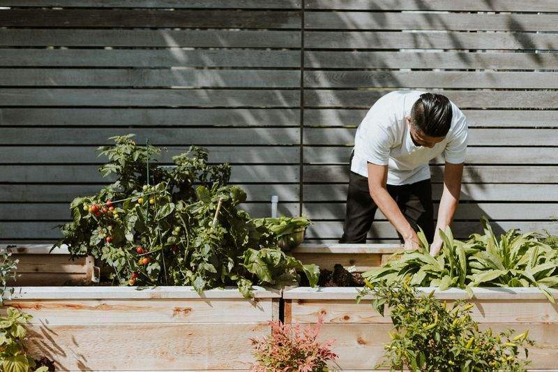 翠景庭園設計株式会社
